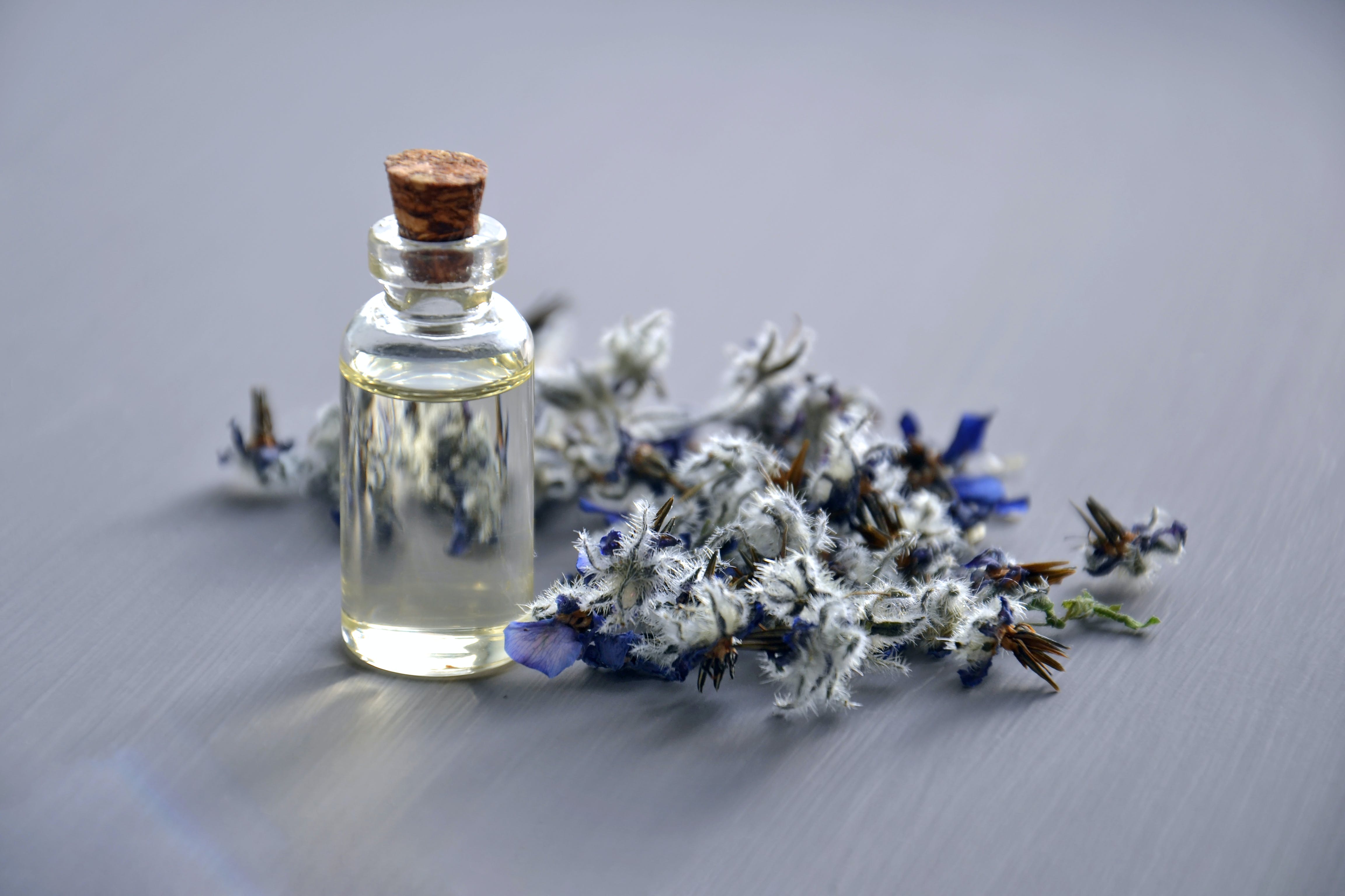 Lavender and espresso discount perfume